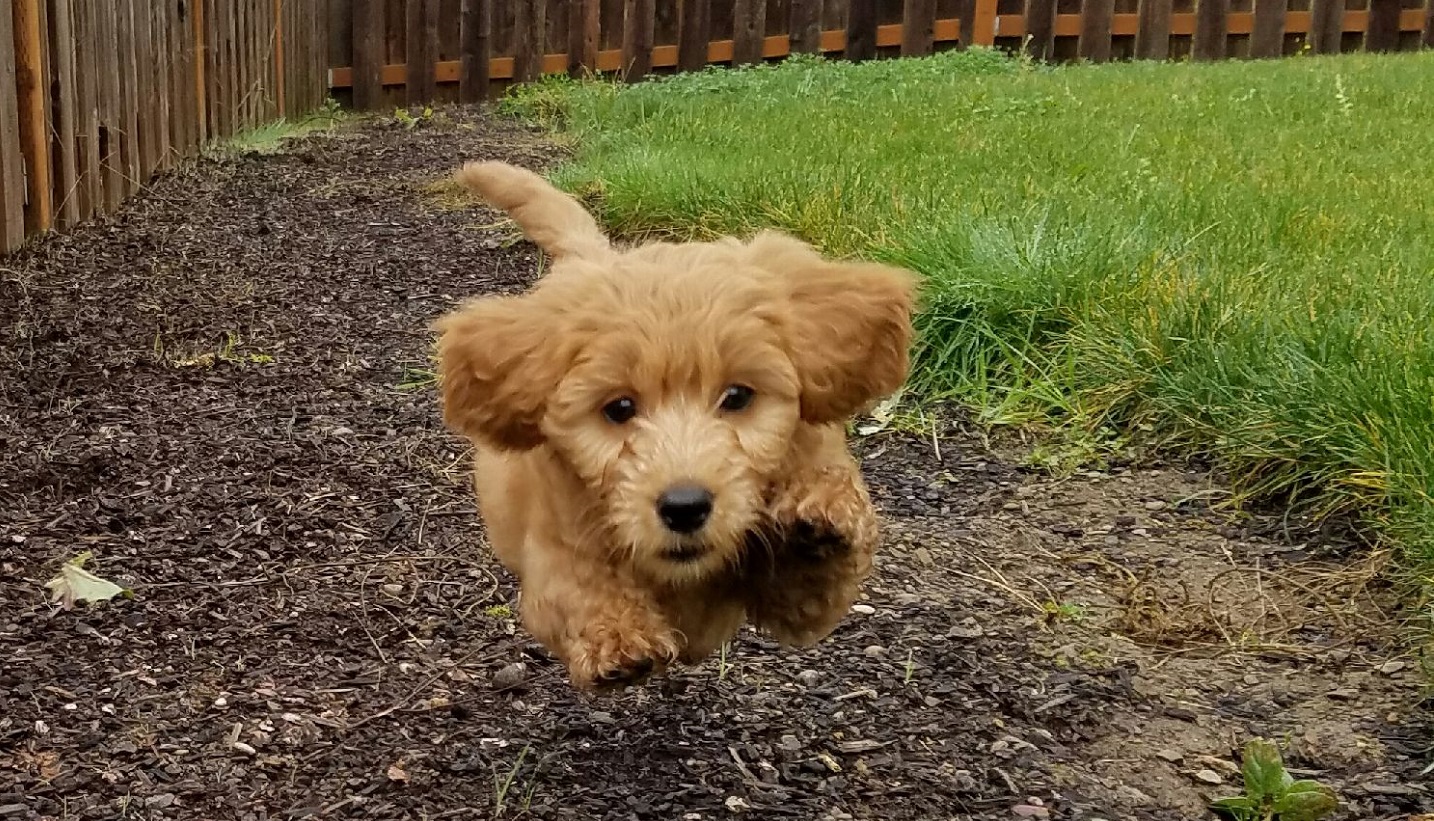 Mommy's Home!